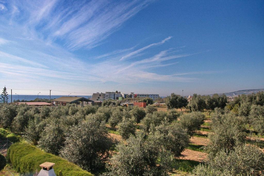 Villa Paradise Пафос Екстер'єр фото